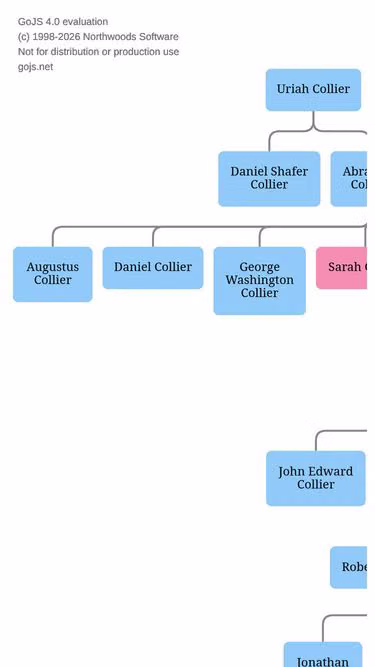 Screenshot of collier.family