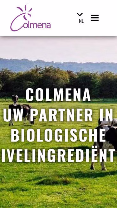 Screenshot of colmena.be