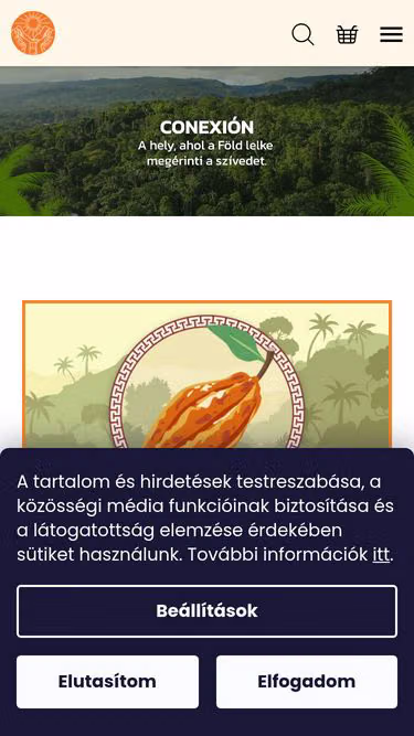 Screenshot of conexion.hu