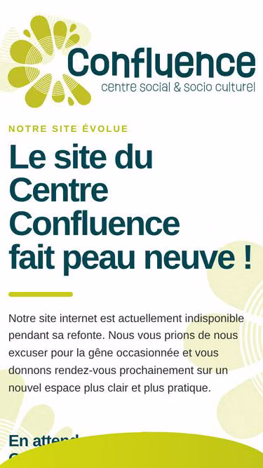 Screenshot of confluence.asso.fr