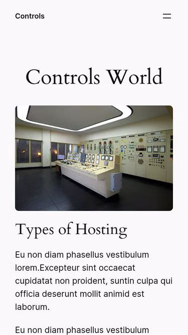 Screenshot of controls.lk