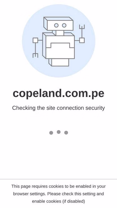 Screenshot of copeland.com.pe