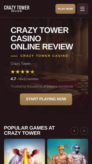 Screenshot of crazytower.mom