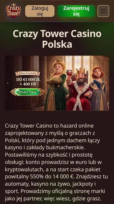 Screenshot of crazytower.rzeszow.pl