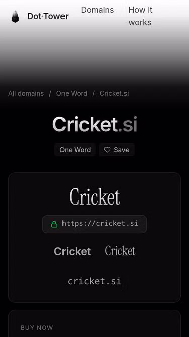Screenshot of cricket.si