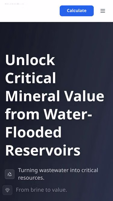 Screenshot of criticalminerals.solutions