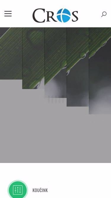 Screenshot of cros.cz