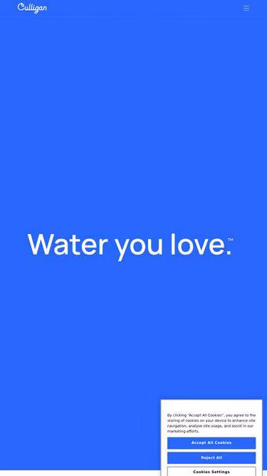 Screenshot of culligan.bz