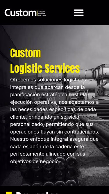 Screenshot of custom.com.co
