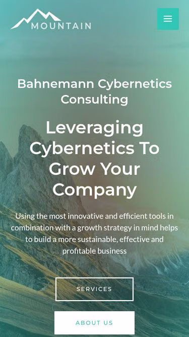 Screenshot of cybernetics.consulting