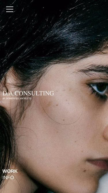 Screenshot of d-a.consulting