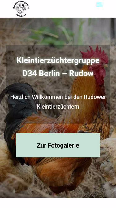 Screenshot of d34.de