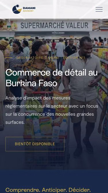 Screenshot of damani.africa