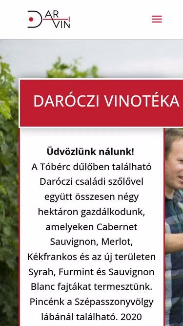 Screenshot of darvin.hu
