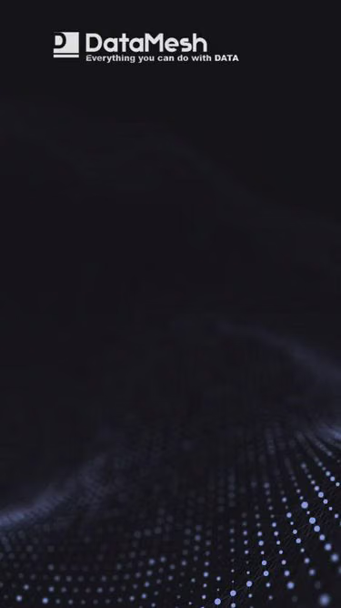 Screenshot of datamesh.co.kr