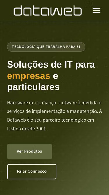 Screenshot of dataweb.pt