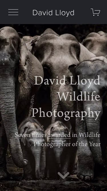 Screenshot of davidlloyd.net