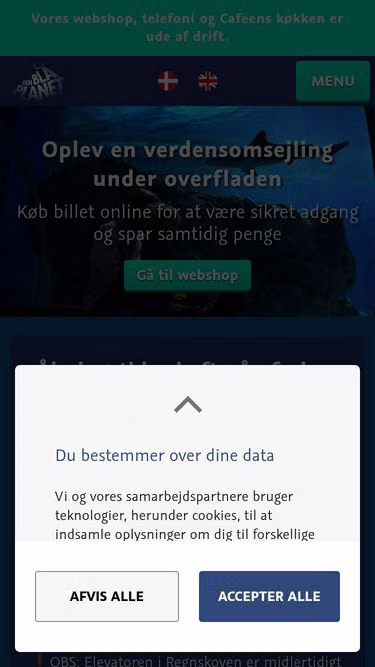 Screenshot of dbp.dk