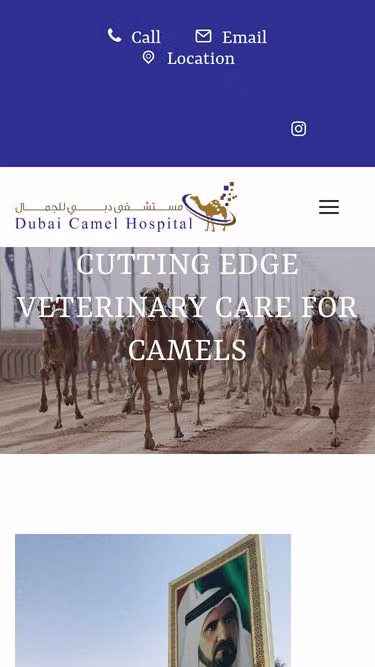 Screenshot of dch.ae