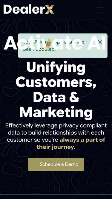 Screenshot of dealership.marketing
