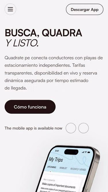 Screenshot of dealforge.lat