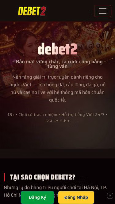 Screenshot of debet2.cam