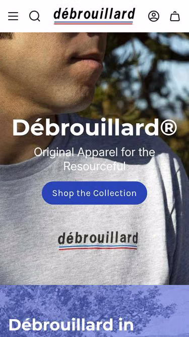 Screenshot of debrouillard.biz