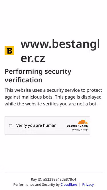 Screenshot of decoy.cz