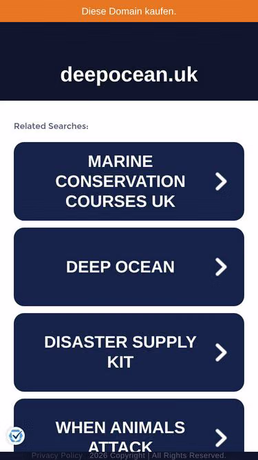 Screenshot of deepocean.uk