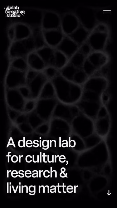 Screenshot of delab.lt