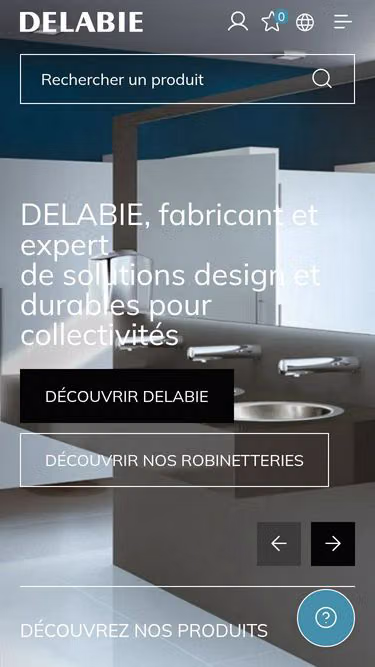 Screenshot of delabie.fr