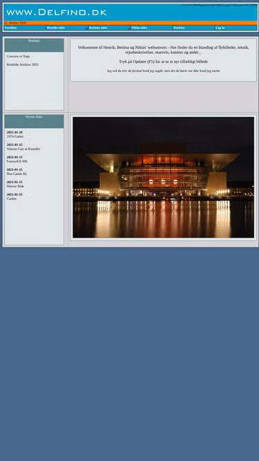 Screenshot of delfino.dk