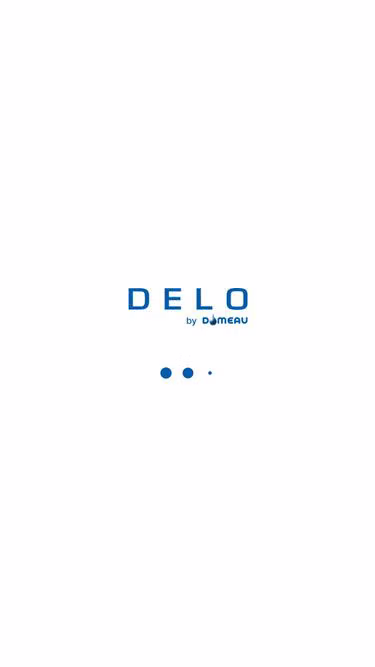 Screenshot of delo.store