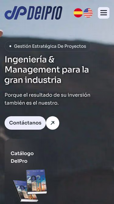 Screenshot of delpro.ai