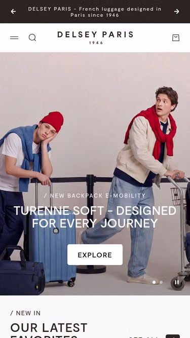 Screenshot of delsey.com.pk