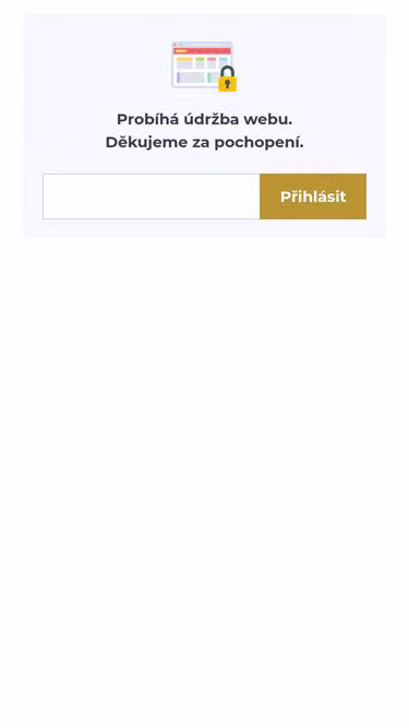 Screenshot of delsey.cz