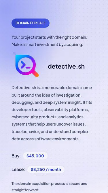 Screenshot of detective.sh