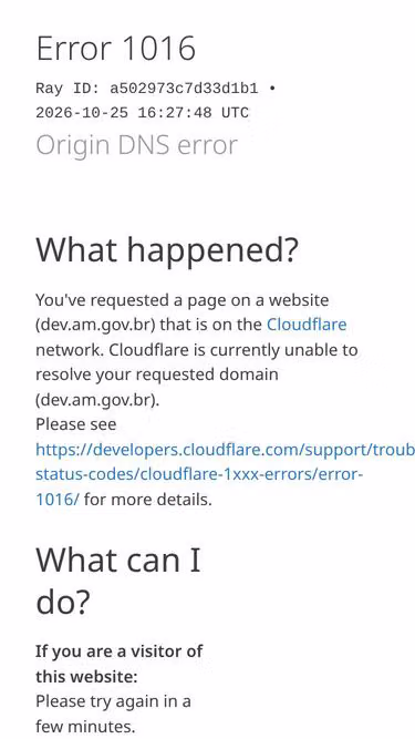 Screenshot of dev.am.gov.br