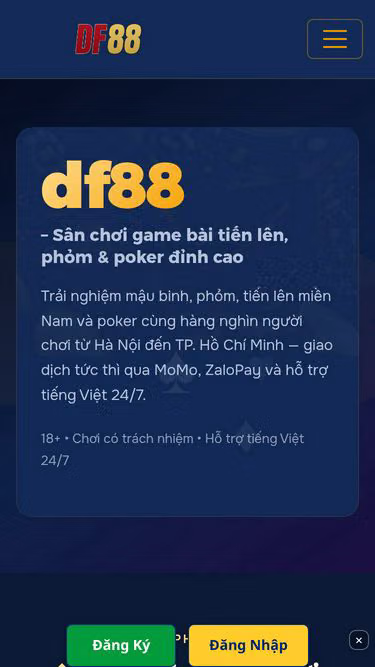 Screenshot of df88.world