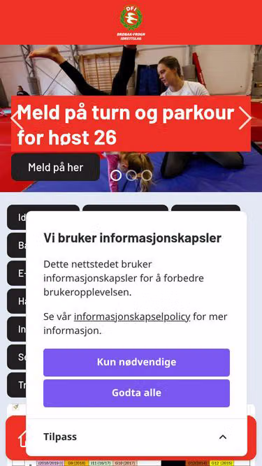 Screenshot of dfi.no