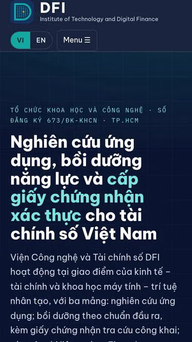 Screenshot of dfi.org.vn