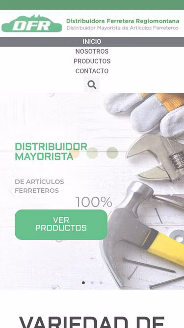 Screenshot of dfr.com.mx
