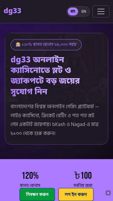 Screenshot of dg33.cam