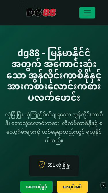 Screenshot of dg88.site