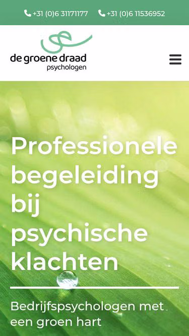 Screenshot of dgdp.nl