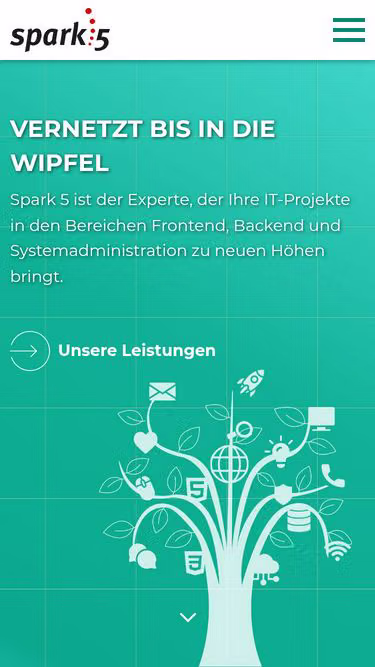 Screenshot of dgx.de