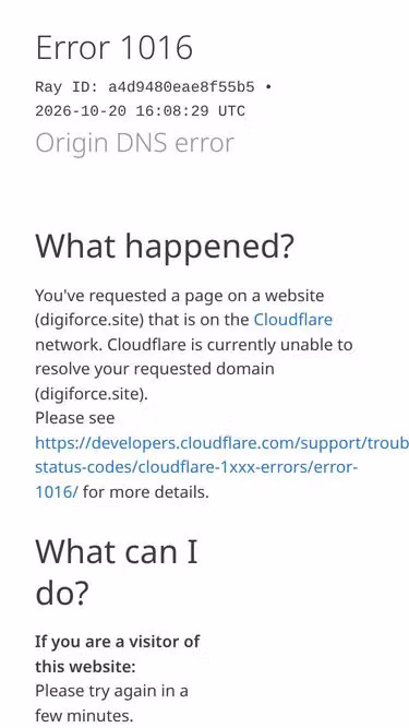 Screenshot of digiforce.site