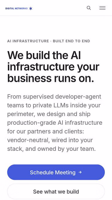 Screenshot of digitalnetworks.ai
