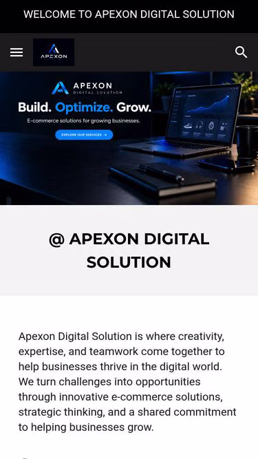 Screenshot of digitalsolution.win