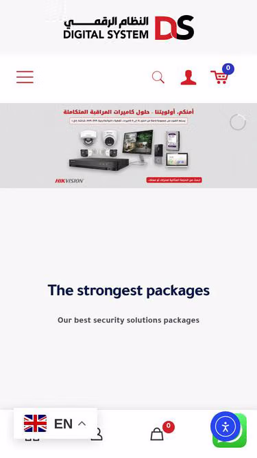 Screenshot of digitalsystem.sa